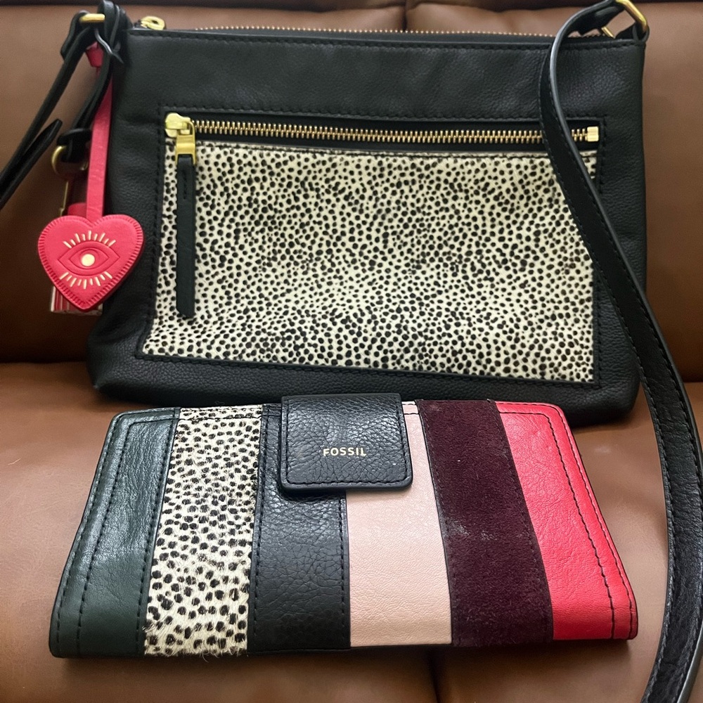 Fossils purse and wallet set